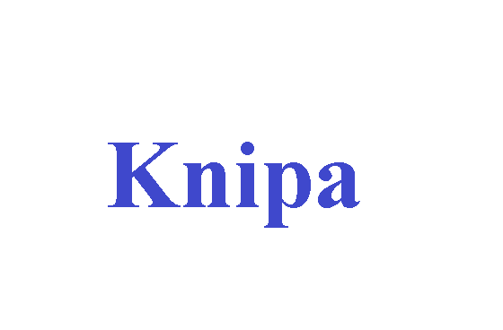 كلمة اليوم”knipa”مع اللفظ الصحيح والامثلة وطريقة الإستخدام
