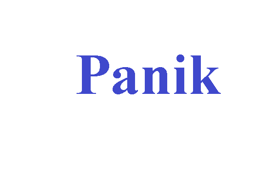 كلمة اليوم”Panik”مع اللفظ الصحيح والامثلة وطريقة الإستخدام