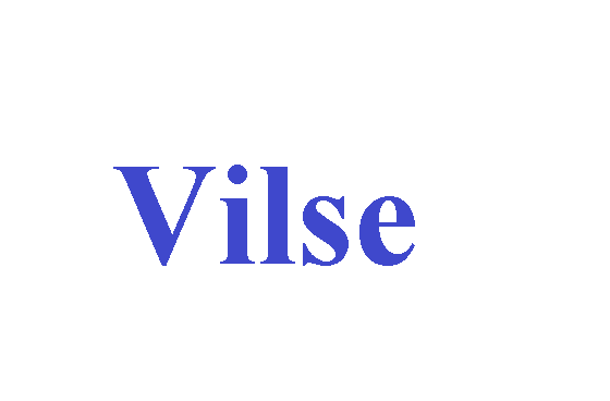 كلمة اليوم”vilse”مع اللفظ الصحيح والامثلة وطريقة الإستخدام