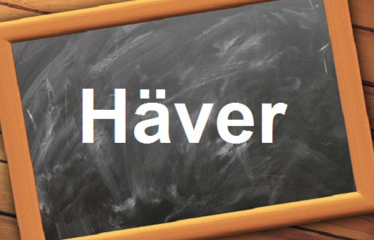 كلمة اليوم”Häver”مع اللفظ الصحيح والامثلة وطريقة الإستخدام