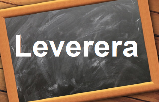 كلمة اليوم”Leverera”مع اللفظ الصحيح والامثلة وطريقة الإستخدام