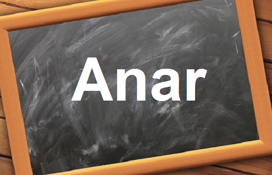 كلمة اليوم”Anar”مع اللفظ الصحيح والامثلة وطريقة الإستخدام