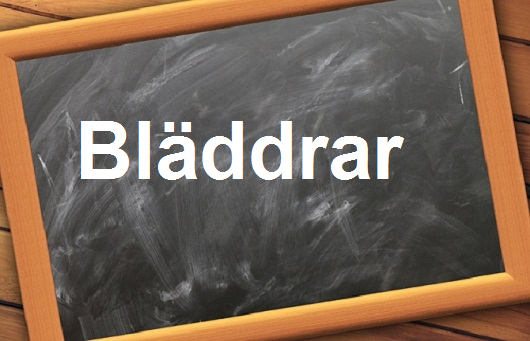 كلمة اليوم”Bläddrar”مع اللفظ الصحيح والامثلة وطريقة الإستخدام