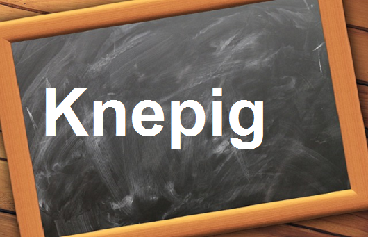 كلمة اليوم”Knepig”مع اللفظ الصحيح والامثلة وطريقة الإستخدام