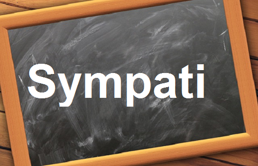 كلمة اليوم”Sympati”مع اللفظ الصحيح والامثلة وطريقة الإستخدام