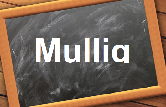 كلمة اليوم”Mullig”مع اللفظ الصحيح والامثلة وطريقة الإستخدام