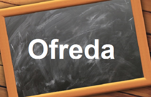 الفعل”Ofreda”مع اللفظ الصحيح والامثلة وطريقة الإستخدام