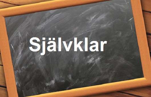 كلمة اليوم”Självklar”مع اللفظ الصحيح والامثلة وطريقة الإستخدام