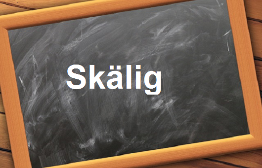 كلمة اليوم”Skälig”مع اللفظ الصحيح والامثلة وطريقة الإستخدام
