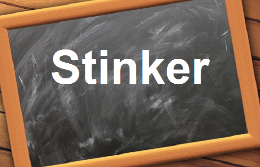 كلمة اليوم”Stinker”مع اللفظ الصحيح والامثلة وطريقة الإستخدام