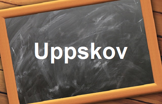 كلمة اليوم”Uppskov”مع اللفظ الصحيح والامثلة وطريقة الإستخدام