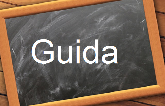 فعل مهم وشائع”Guidar”مع اللفظ الصحيح والامثلة وطريقة الإستخدام