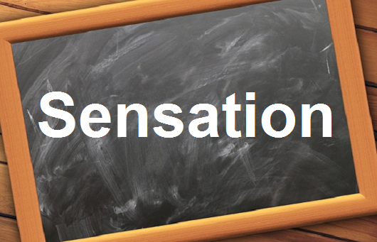 كلمة اليوم”Sensation”مع اللفظ الصحيح والامثلة وطريقة الإستخدام