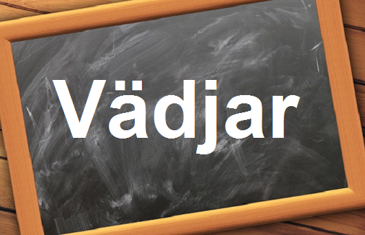 كلمة اليوم”Vädjar”مع اللفظ الصحيح والامثلة وطريقة الإستخدام