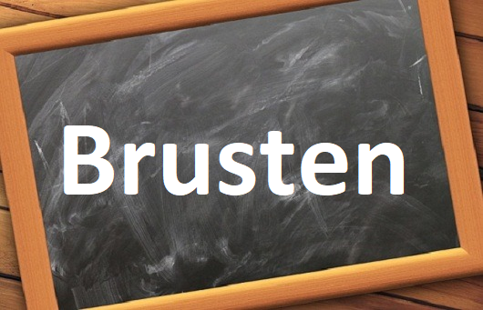 كلمة اليوم” Brister”مع اللفظ الصحيح والامثلة وطريقة الإستخدام