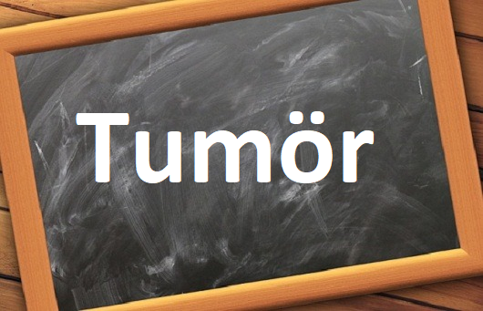كلمة اليوم”Tumör”مع اللفظ الصحيح والامثلة وطريقة الإستخدام