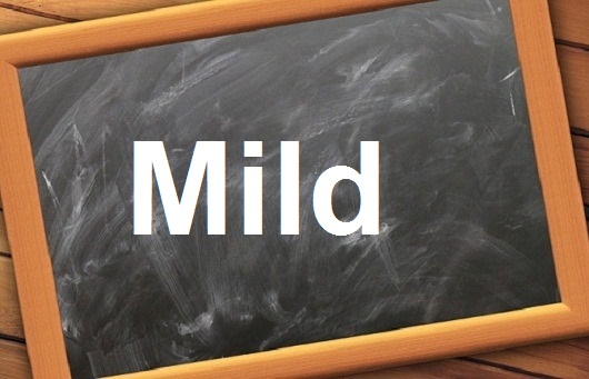 كلمة اليوم”Mild”مع اللفظ الصحيح والامثلة وطريقة الإستخدام
