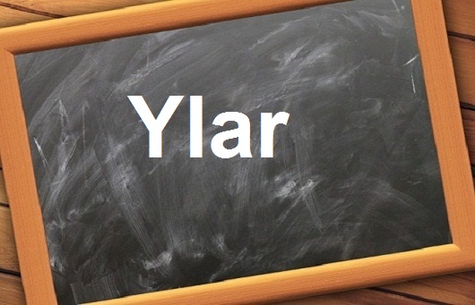 كلمة اليوم”Ylar”مع اللفظ الصحيح والامثلة وطريقة الإستخدام