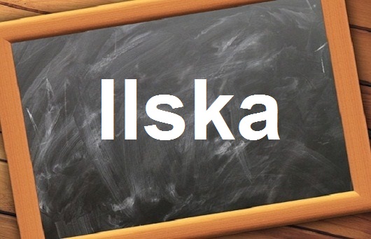 كلمة اليوم”Ilska”مع اللفظ الصحيح والامثلة وطريقة الإستخدام
