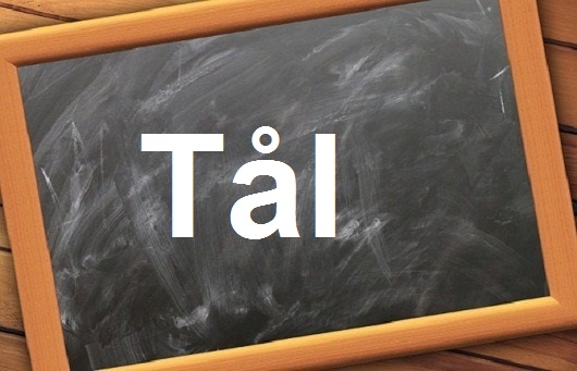 كلمة اليوم”Tål”مع اللفظ الصحيح والامثلة وطريقة الإستخدام