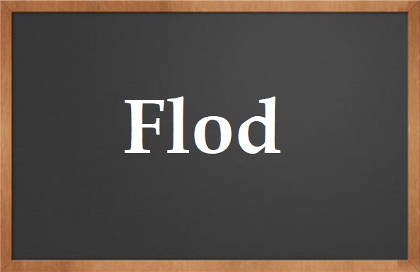كلمة اليوم”Flod”مع اللفظ الصحيح والامثلة وطريقة الإستخدام